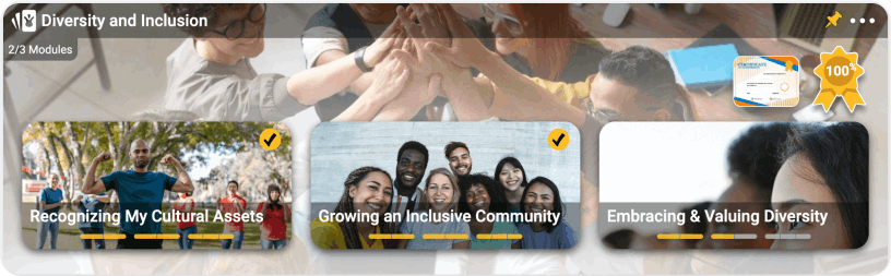 A recent team growth collection: Diversity and Inclusion, with three modules